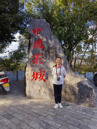 2024年1月14日普洱万亩茶园