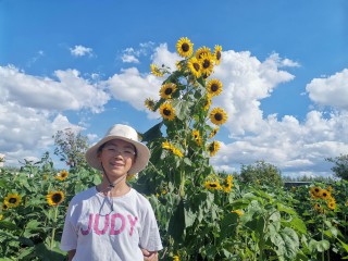 2023.10.2小羽乌龙村看太阳花