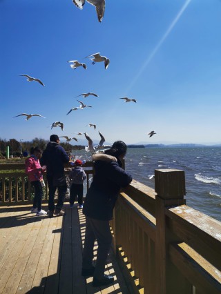 2022.2.25带外婆看海鸥