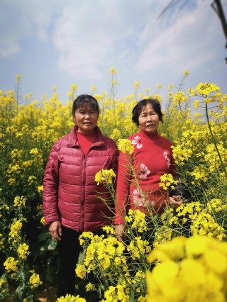 2023.3.7爷爷奶奶外婆看油菜花