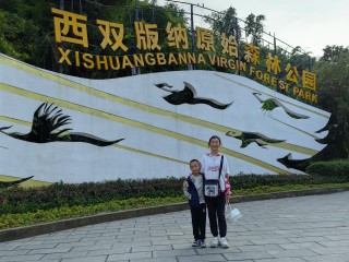 2024年1月17日西双版纳野林谷、植物园