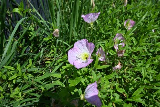 先晴后雨，雨后彩虹