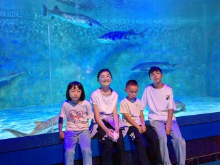 2023年8月3日冰雪海洋世界