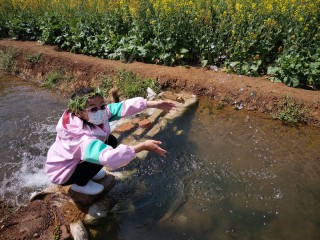 2022.3.20江尾村看油菜花