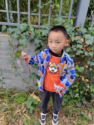 2023年成长杂记1