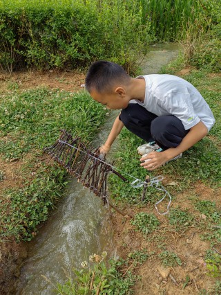 2024年5月3日小溪边玩耍、做花架