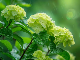 所有相遇，皆是天意