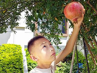 2024年8月老家捡菌