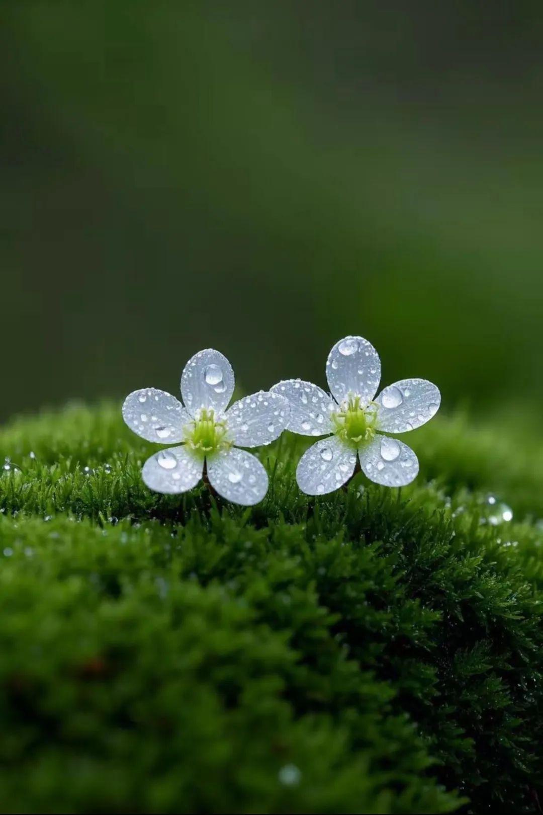 1.jpg 人老了,出门在外要守口如瓶,不要逢人就说这4件事