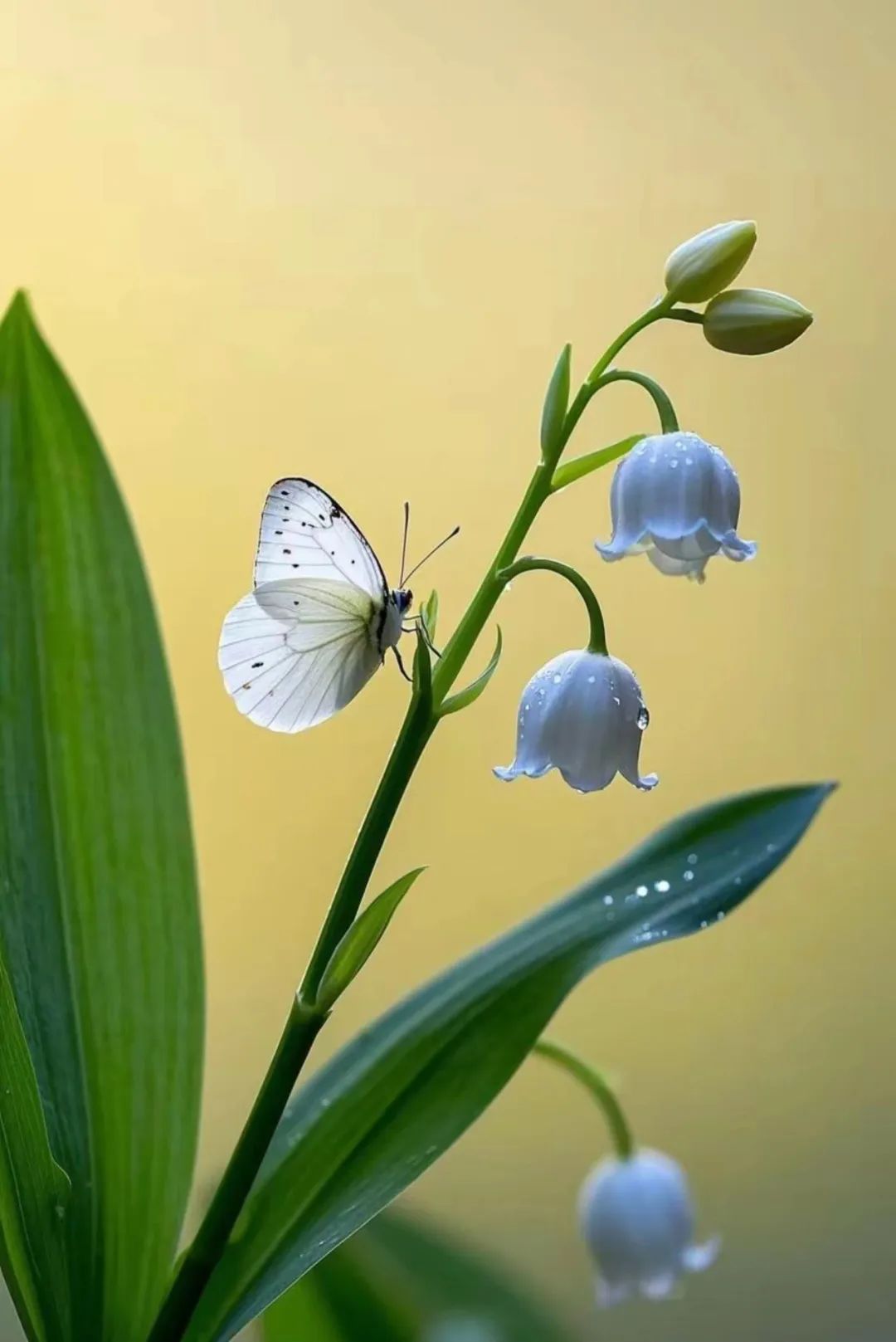 6.jpg 遇到不顺时,默念四句话,好运自来!