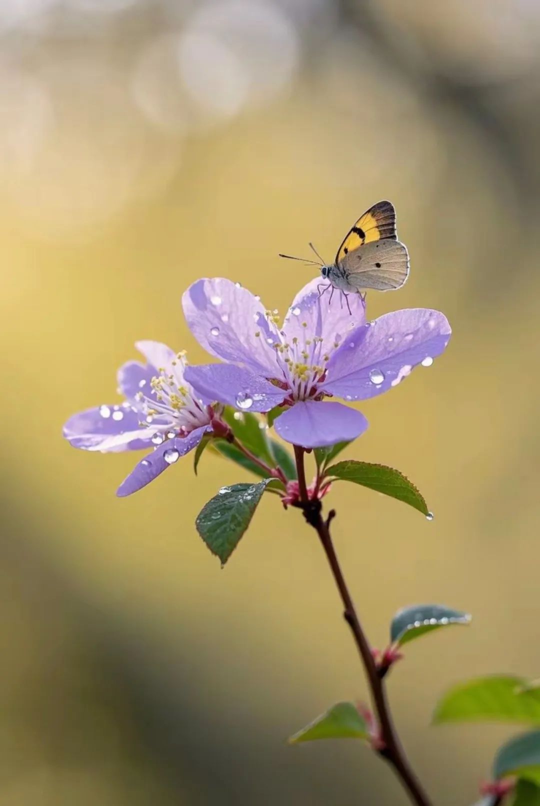 5.jpg 遇到不顺时,默念四句话,好运自来!