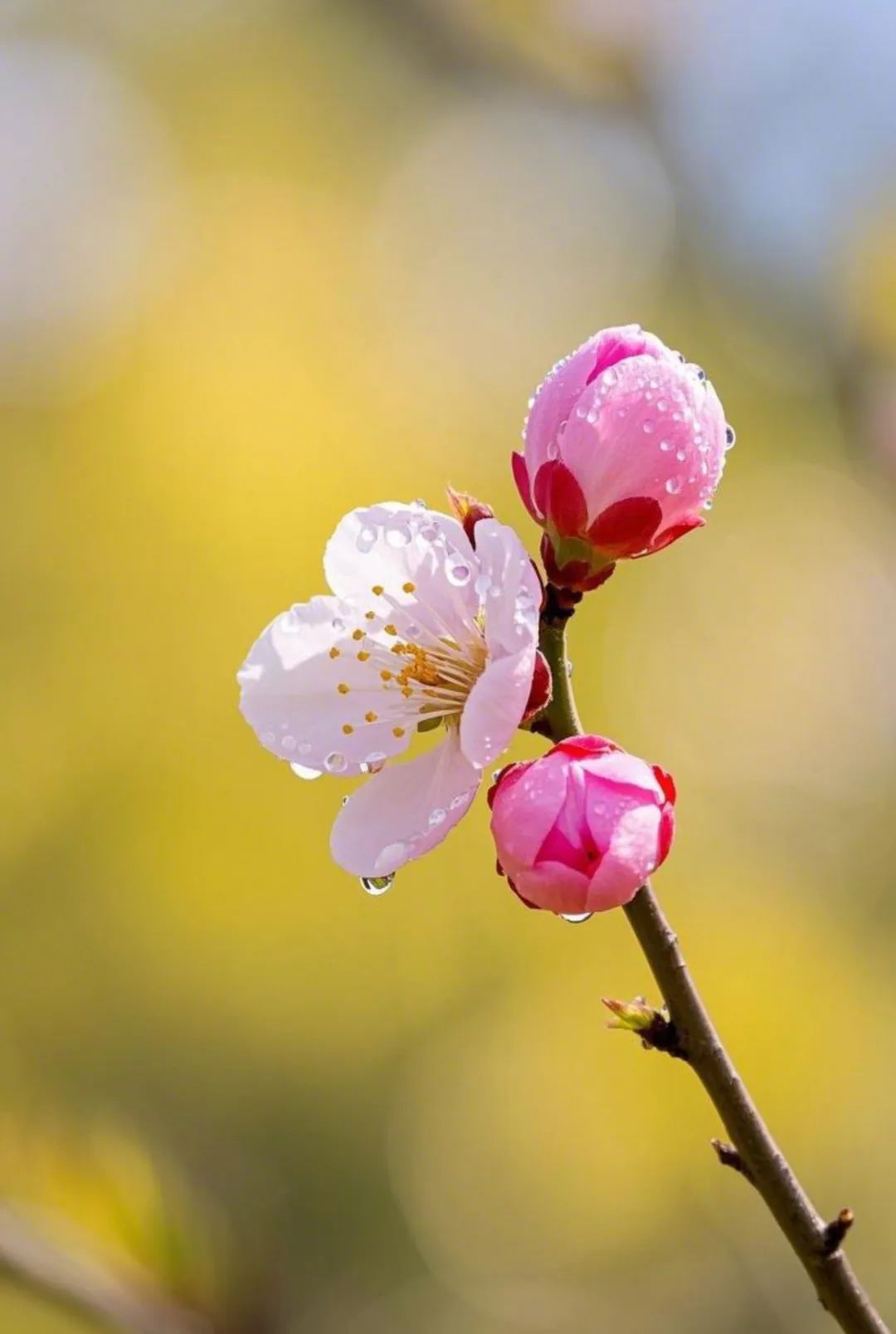 4.jpg 遇到不顺时,默念四句话,好运自来!