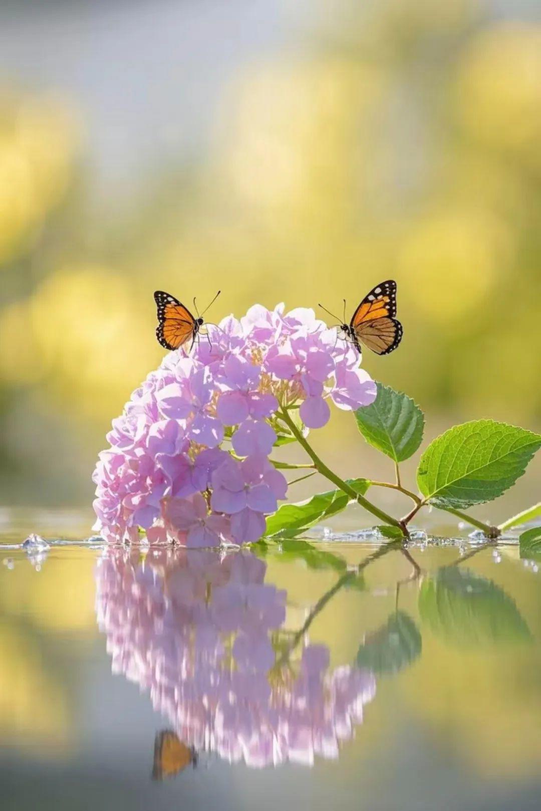 2.jpg 遇到不顺时,默念四句话,好运自来!