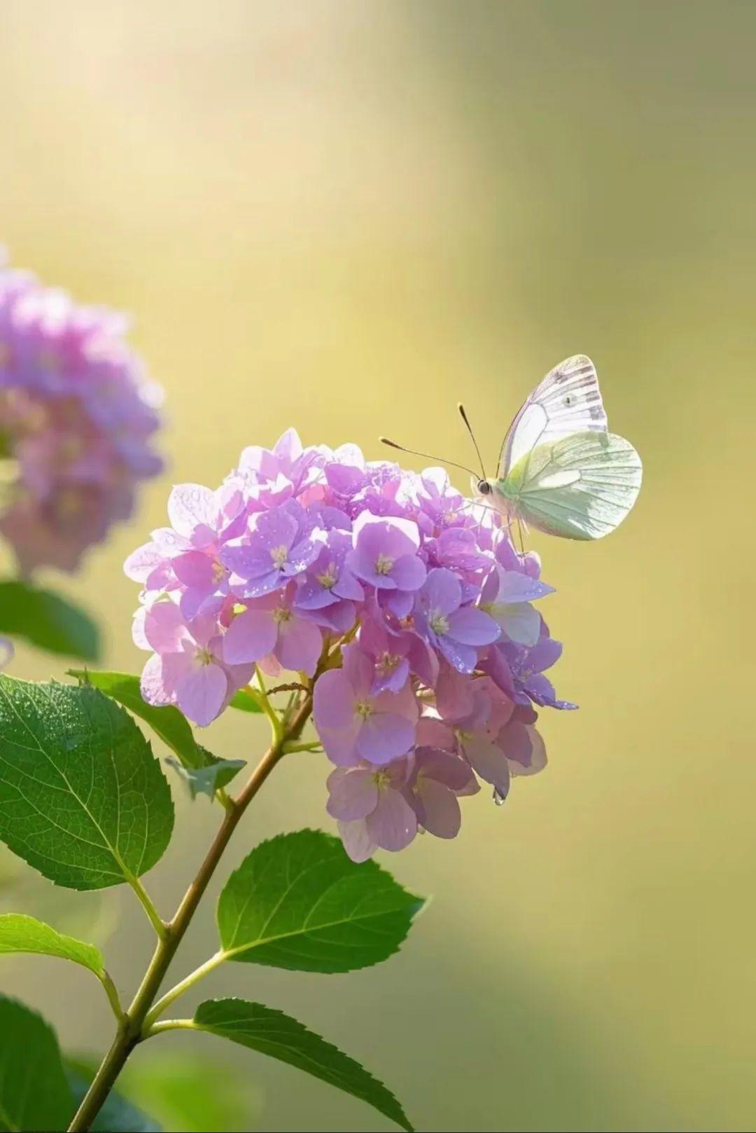 3.jpg 这四种人,最易遇到贵人,有你吗