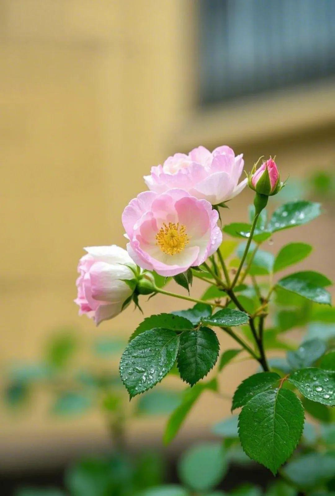 7.jpg 这四种人,最易遇到贵人,有你吗