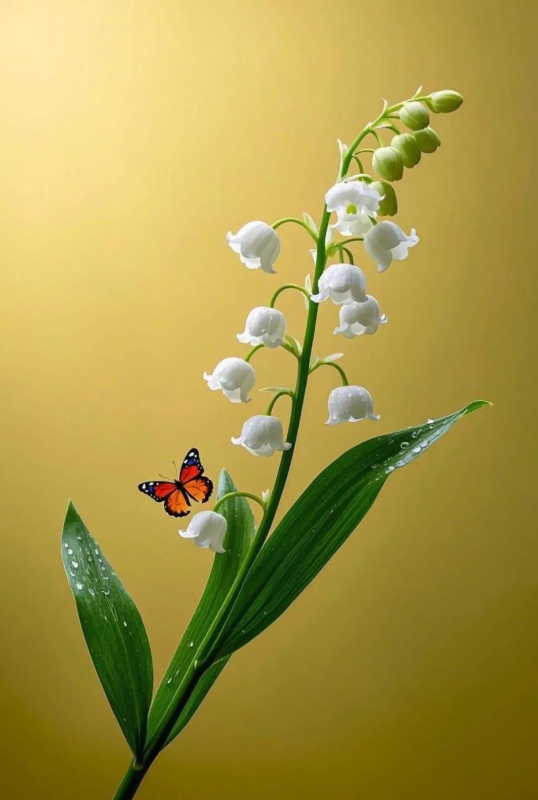 6.jpg 这四种人,最易遇到贵人,有你吗