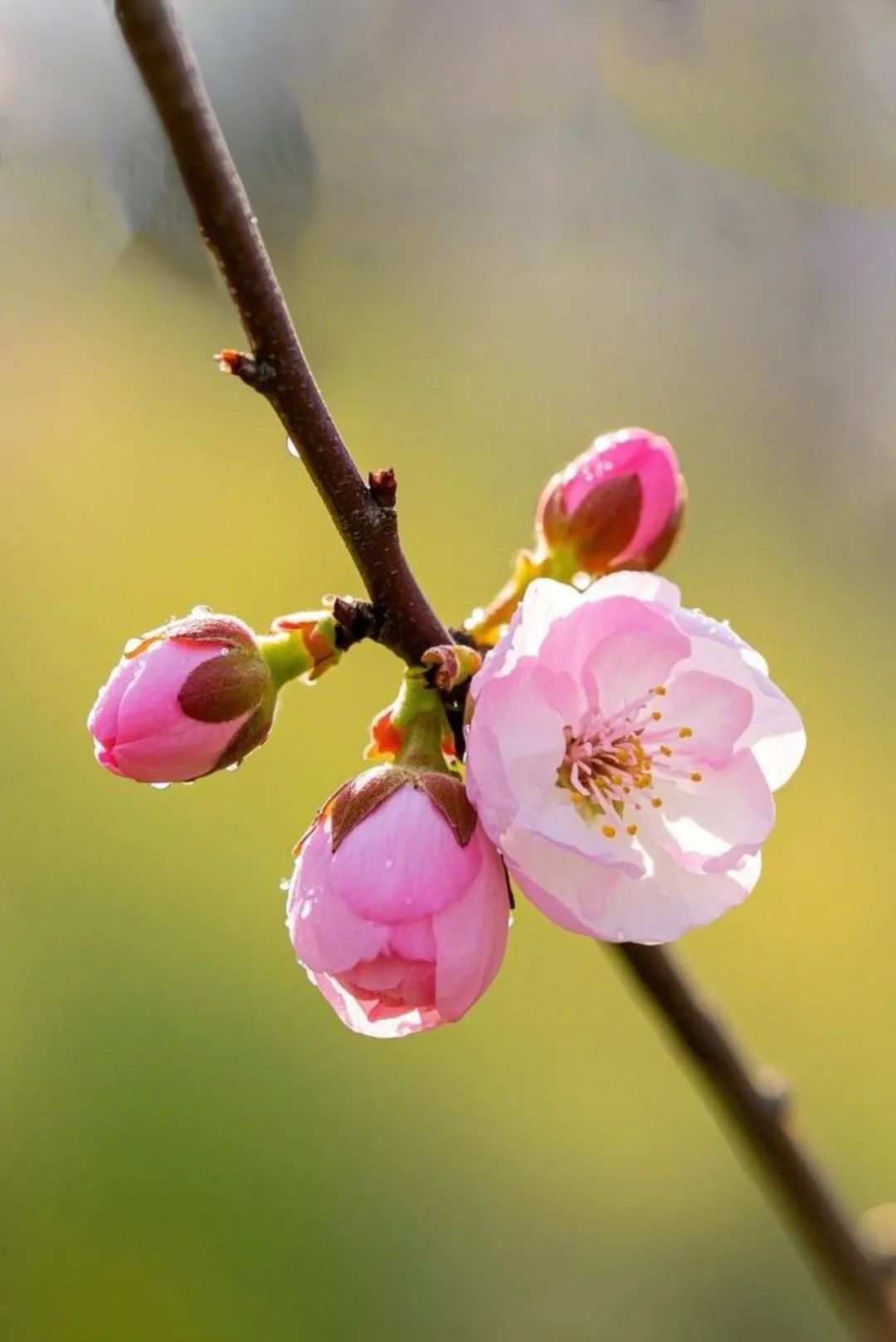 5.jpg 这四种人,最易遇到贵人,有你吗