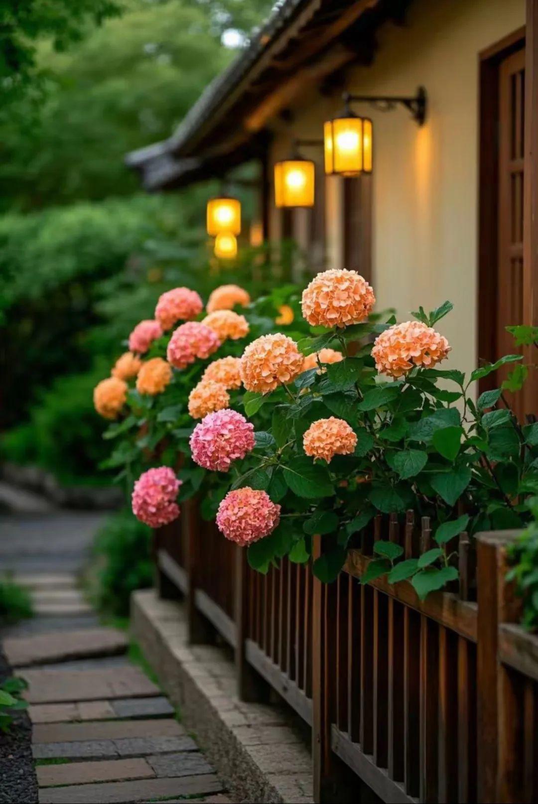 1.jpg 一个家,换个语气,就是换个运气