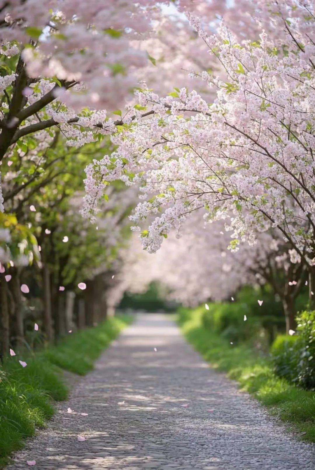 6.jpg 一个家,换个语气,就是换个运气