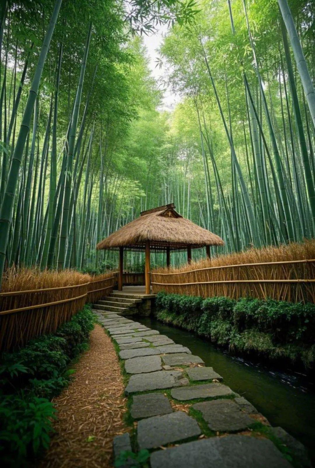 7.jpg 一个家,换个语气,就是换个运气